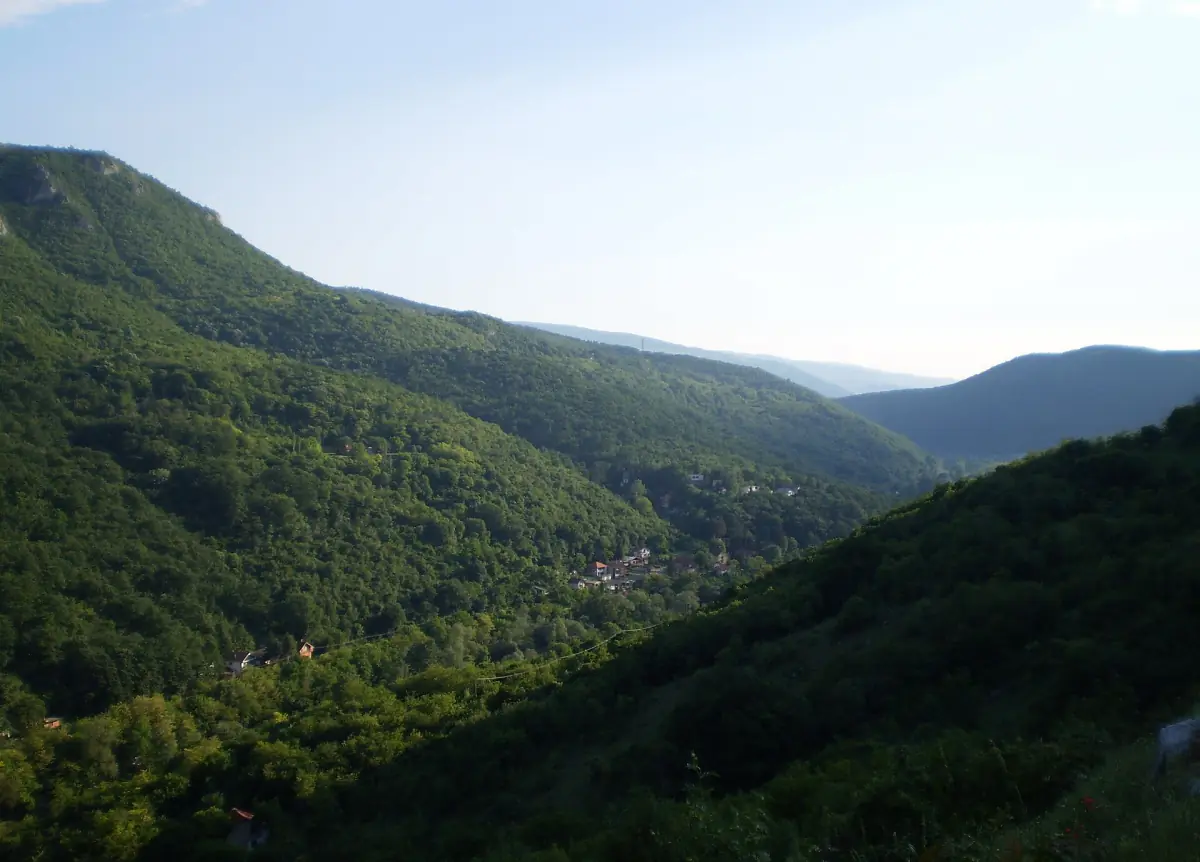 Šumovite padine Sićevačke klisure