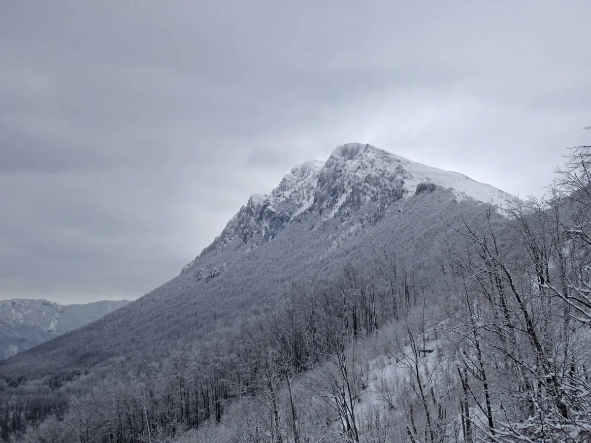 Vrh Trem na Suvoj planini zimi